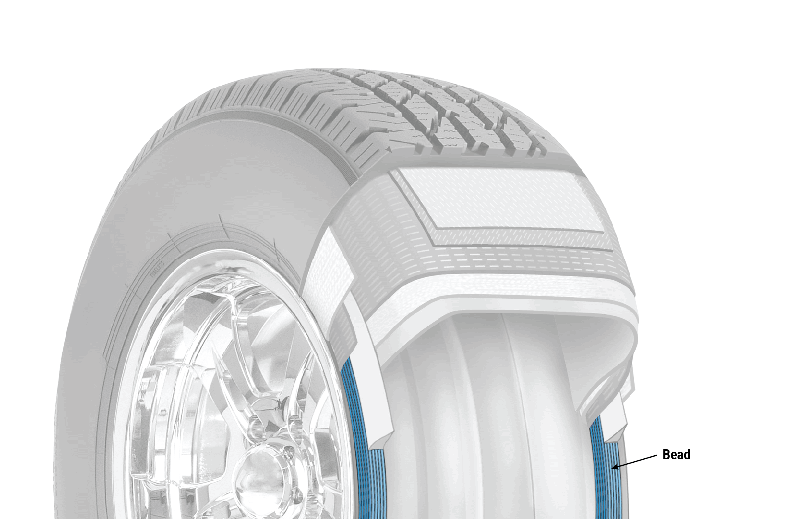 Cutaway diagram of a tire's bead layer