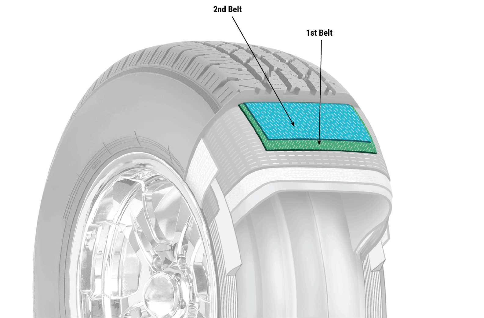 Cutaway diagram of a tire belt layer