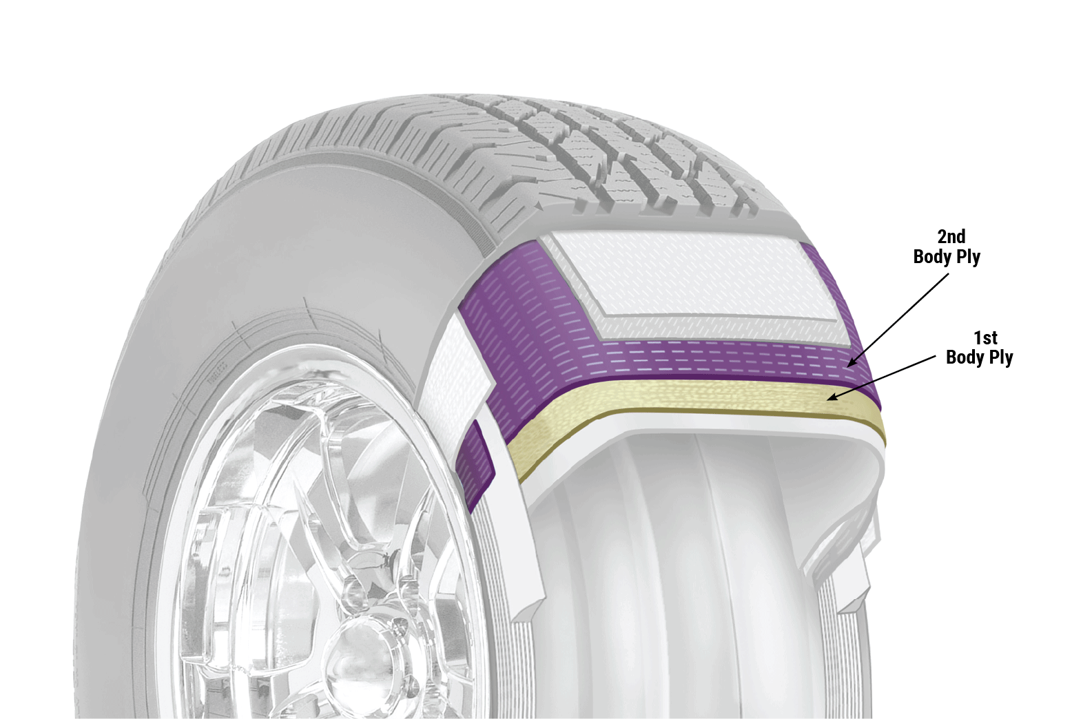 Cutaway diagram of a tire's bodyply layer