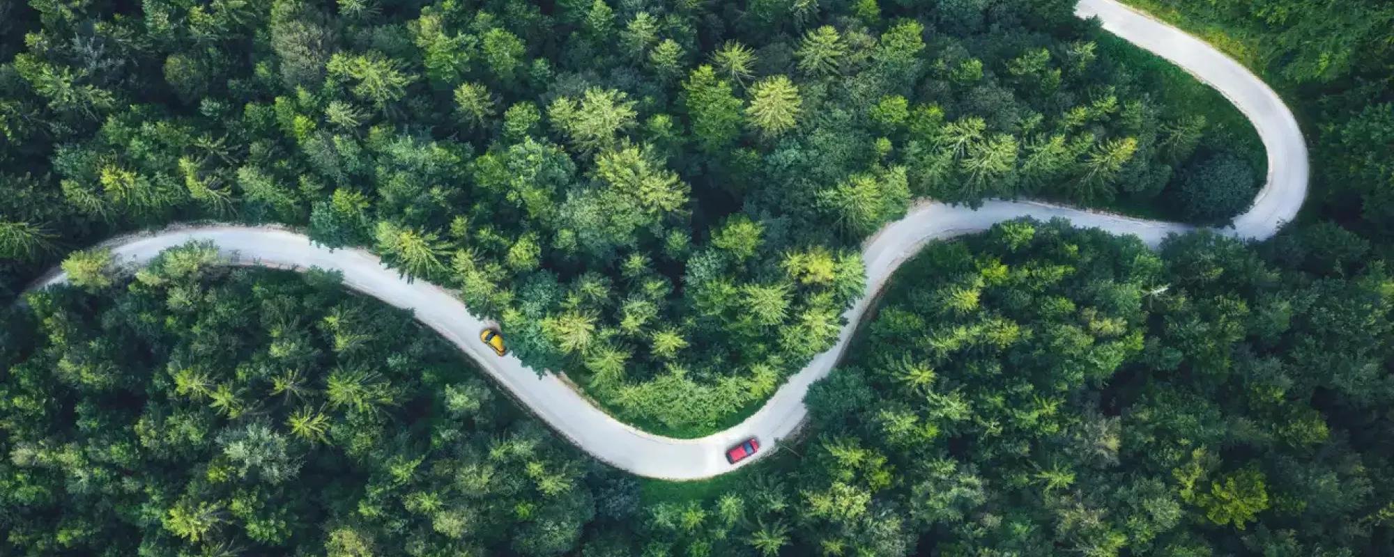 drone image of red car driving on windy forest road