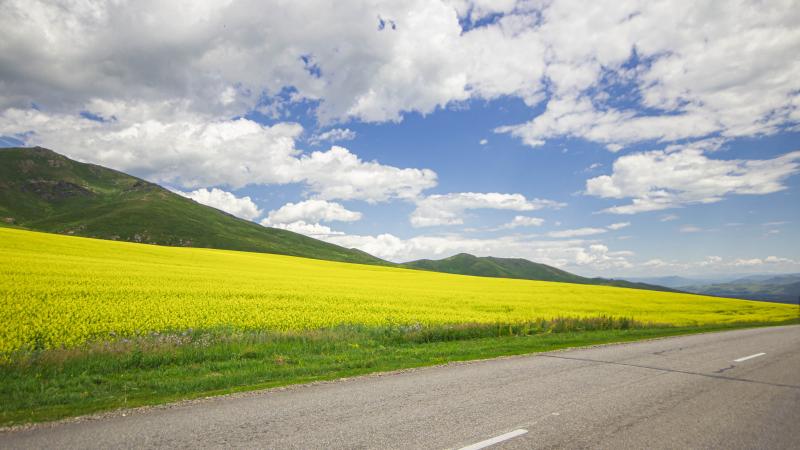 the road leading to the valley of the mountains, through the blossoming yellow fields under the blue sky